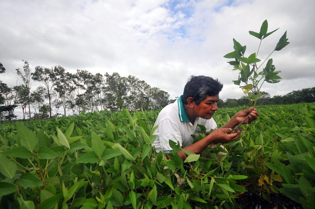 El fin del subsidio al diésel encarece el agro cruceño: fletes de urea se disparan y la zafra se retrasa