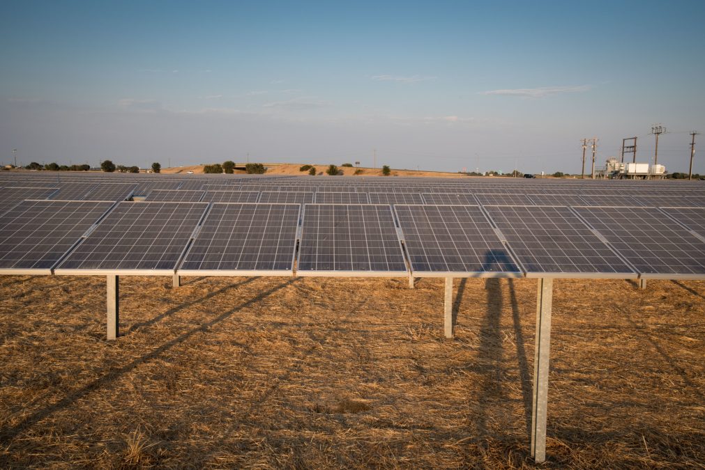 Campo de paneles solares de una planta fotovoltaica